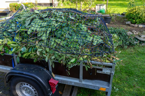 Best Recycling Services for Junk  in Green Bay, WI